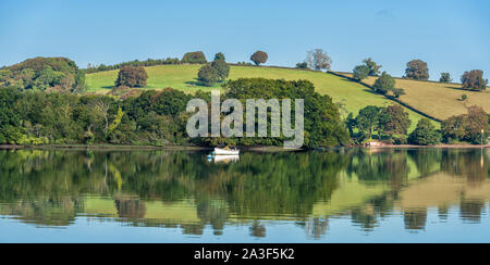 Ruderboot günstig auf den Fluss Dart, Dittisham, Devon, Vereinigtes Königreich Stockfoto