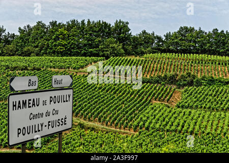 Hameau de Pouilly unterzeichnen und Reben am Pouilly-Fuissé, in der Nähe von Macon, Burgund, Frankreich. Stockfoto