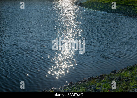 Sun Reflexionen in den See. Wasser und Sonne. Teich und hellen Sterne. Stockfoto