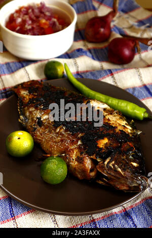 Foto von frisch gegrillten Tilapia-fisch auf Platte mit garnieren Stockfoto