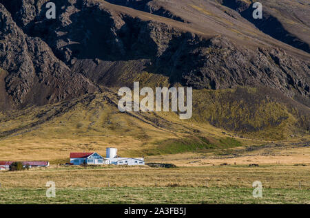 Celandic Farm in der Nähe von Grundarhverti im Nordwesten von Reykjavic, unterhalb der vulkanischen Felsenberge, einer typischen isländischen Landschaft. Stockfoto