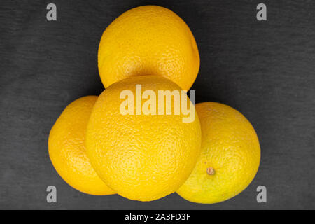 Gruppe von vier ganze frische helle orange flatlay am grauen Stein Stockfoto