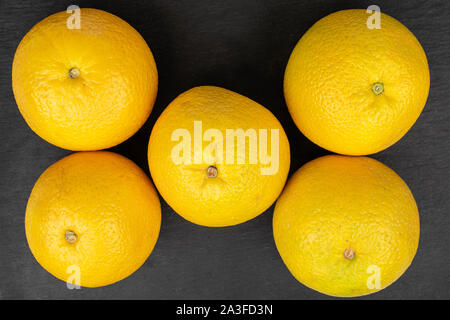 Gruppe von fünf ganze frische helle orange flatlay am grauen Stein Stockfoto