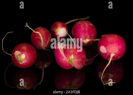In Scheiben geschnitten Gruppe von fünf ganze zwei Hälften von frischen roten Rettich eine auf schwarzem Glas isoliert Stockfoto