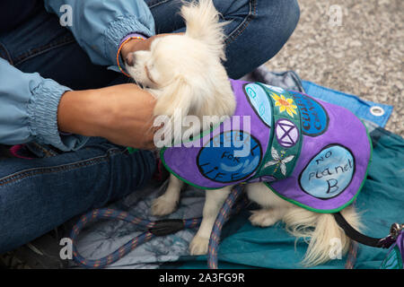 London, Großbritannien. 7. Oktober 2019. Aussterben Rebellion Demonstranten auf dem Trafalgar Square an zwei einwöchigen Protest in London gesehen. Credit: Joe Kuis/Alamy Nachrichten Stockfoto