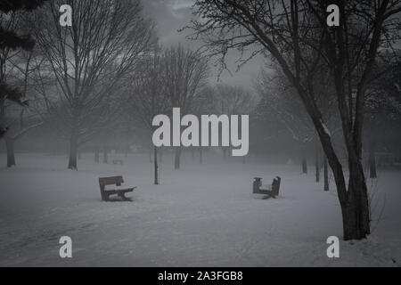 Bänke in einer verschneiten Park in den Abend. Fast Schwarz und Weiß. Stockfoto