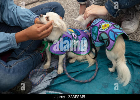 London, Großbritannien. 7. Oktober 2019. Aussterben Rebellion Demonstranten auf dem Trafalgar Square an zwei einwöchigen Protest in London gesehen. Credit: Joe Kuis/Alamy Nachrichten Stockfoto