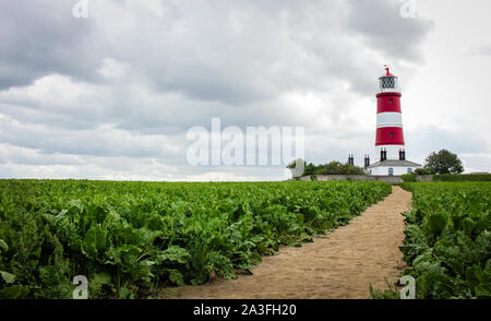 Happisburgh Lighthouse und Feld an einem bewölkten Sommertag Stockfoto