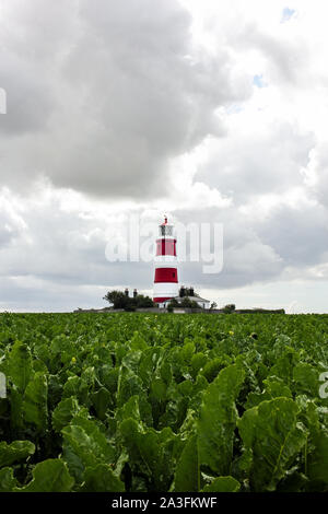 Happisburgh Lighthouse und Feld an einem bewölkten Sommertag Stockfoto