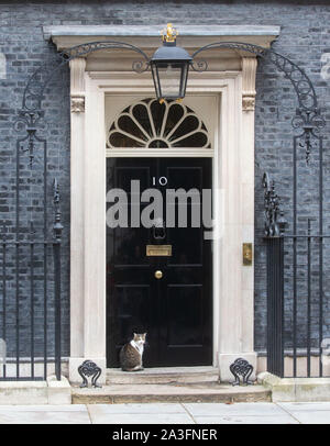 London, Großbritannien. 8. Okt 2019. Larry die Katze, Chief Mouser an die Staatskasse, an der Tür mit der Nummer 10 Downing Street. Credit: Tommy London/Alamy leben Nachrichten Stockfoto