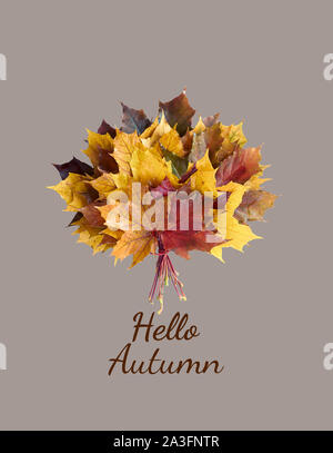 Hallo Herbst mit maple leaf Strauß auf Pastell light mint Hintergrund isoliert, Flach, Overhead Draufsicht, Nahaufnahme, Kopie, Fallen und zurück zum scho Stockfoto