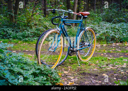 Classic Bikes in der Natur Stockfoto