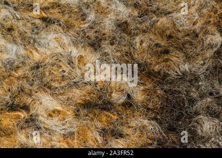 Ein wolltuch Textur in der Nähe zu sehen. Stockfoto