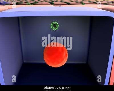 Die Vermehrung des Virus in die Zelle, die Vermehrung des Virus in die Leberzelle, Viren in die Zelle, Viren infizieren die Zelle, virus Angriff der Leberzellen Stockfoto