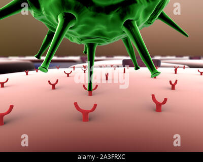 Die Vermehrung des Virus in die Zelle, die Vermehrung des Virus in die Leberzelle, Viren in die Zelle, Viren infizieren die Zelle, virus Angriff der Leberzellen Stockfoto