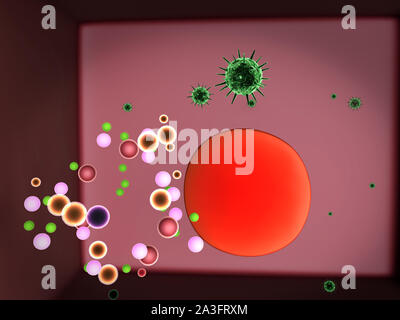Die Vermehrung des Virus in die Zelle, die Vermehrung des Virus in die Leberzelle, Viren in die Zelle, Viren infizieren die Zelle, virus Angriff der Leberzellen Stockfoto