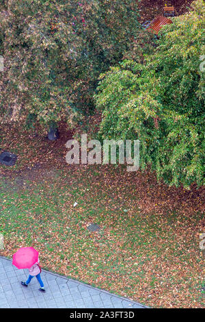 Magdeburg, Deutschland. 08 Okt, 2019. Ein Passant mit einem roten Regenschirm Pässe Bäume im Herbst. Nach einem sonnigen Start in die Woche, das Wetter in der Region rund um die Landeshauptstadt hat wieder geändert. Credit: Klaus-Dietmar Gabbert/dpa-Zentralbild/ZB/dpa/Alamy leben Nachrichten Stockfoto