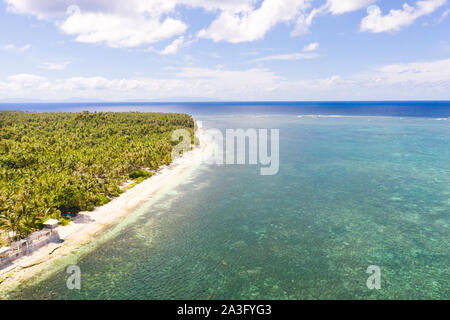 Wunderschöne tropische Insel mit Sandstrand, Palmen. Luftaufnahme des tropischen Strandes auf der Insel Siargao, Philippinen. Tropische Landschaft: Strand mit Palmen. Stockfoto