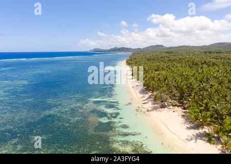 Wunderschöne tropische Insel mit Sandstrand, Palmen. Luftaufnahme des tropischen Strandes auf der Insel Siargao, Philippinen. Tropische Landschaft: Strand mit Palmen. Stockfoto