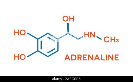 Adrenalin Hormon molekulare Formel. Menschliche Körper Hormone Symbol Stock Vektor