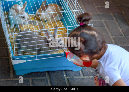 Süße kleine Mädchen Fütterung Kaninchen auf dem Bauernhof. Kleinkind Kind geben Wasser die Tiere von der Fütterung Wasserflasche. Die Häschen trinken im Käfig für kleine Haustiere. Stockfoto