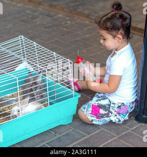 Süße kleine Mädchen Fütterung Kaninchen auf dem Bauernhof. Kleinkind Kind geben Wasser die Tiere von der Fütterung Wasserflasche. Die Häschen trinken im Käfig für kleine Haustiere. Stockfoto