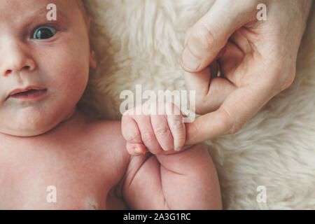 Ein niedliches Baby hält auf Väter Finger. Vaterschaft Konzept Stockfoto