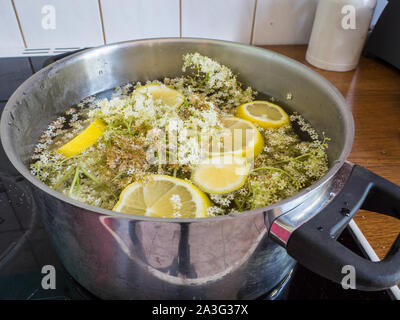 Vorbereitung einer holunderblüten Sirup Stockfoto