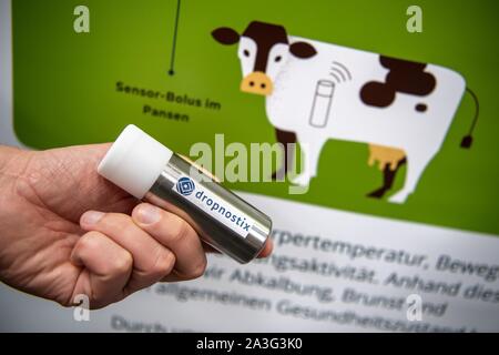 08. Oktober 2019, Niedersachsen, Hannover: Ein Sensor Bolus, die in dem Pansen einer Kuh transplantiert werden können Vitalparameter der Kuh zu senden, wird bei der 5G-CMM Expo vorgestellt werden. Die Messe, wo die Besucher einen Einblick in die technischen Möglichkeiten des neuen Mobilfunkstandards 5G erhalten können, findet vom 08. - 10. Oktober 2019. Foto: Sina Schuldt/dpa Stockfoto
