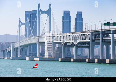 Stadtbild mit Gwangandaegyo oder Diamond Bridge. Windsurfer mit roten Segeln geht in der Nähe der Hängebrücke in Busan, Südkorea Stockfoto