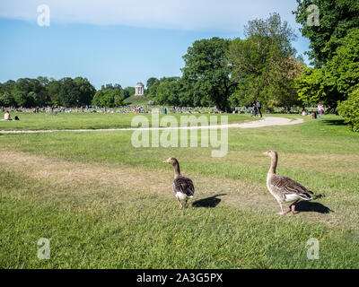 Englischen Garten in München Stockfoto