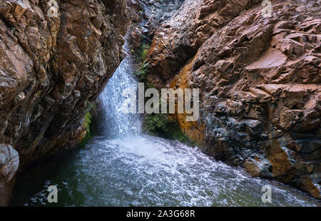 Panoramablick auf das malerische Millomeris Wasserfall und Bach im Wald in Troodos-gebirge Zypern, erstaunlichen natürlichen Sehenswürdigkeiten. Tourismus, Urlaub Stockfoto