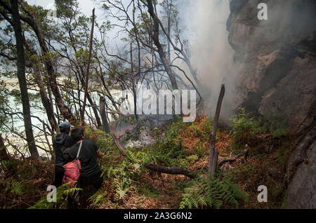 West Java, Indonesien. 8. Oktober, 2019. Freiwillige versuchen, Waldbrand am Mount Patuha, West Java, Indonesien, Okt. 8, 2019 zu löschen. Nach der West Java World Disaster Management Agency (BPBD), der Bereich des Landes Brände, dass seine Regentschaft von Bandung hit 241 Hektar erreicht. Credit: Bukbis Candra Ismeth Bey/Xinhua/Alamy leben Nachrichten Stockfoto
