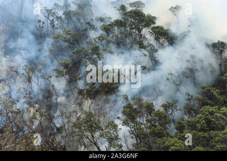 West Java, Indonesien. 8. Oktober, 2019. Wald Feuer ist am Mount Patuha, West Java, Indonesien, Okt. 8, 2019 gesehen. Nach der West Java World Disaster Management Agency (BPBD), der Bereich des Landes Brände, dass seine Regentschaft von Bandung hit 241 Hektar erreicht. Credit: Bukbis Candra Ismeth Bey/Xinhua/Alamy leben Nachrichten Stockfoto