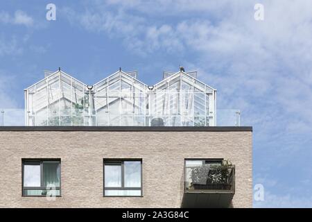 Gewächshäuser auf dem Dach eines Gebäudes in Dänemark Stockfoto