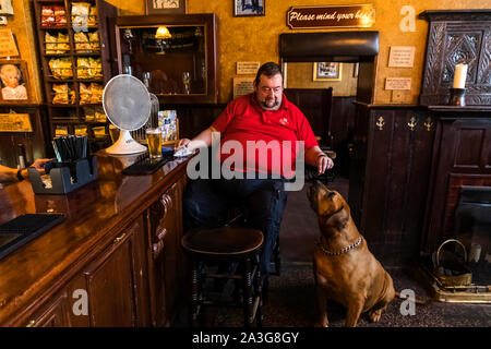 England, London, Southwark, Bermondsey, männlichen Kunden an der Bar sitzt Der Anker Tippen Sam Smiths Pub mit Hund Stockfoto