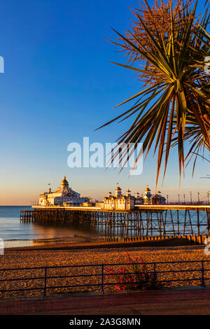 England, East Sussex, Eastbourne, am frühen Morgen Licht auf Eastbourne Pier und Eastbourne Strand Stockfoto