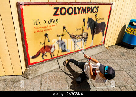 England, East Sussex, Eastbourne, Alfriston, Drusillas Park Zoo und Vergnügungspark, junge Besucher Testen Stärke auf Zoolymoics Board Stockfoto