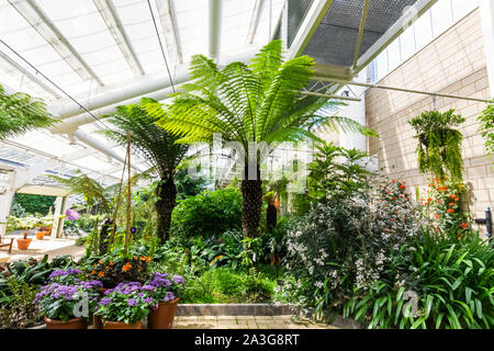 England, Berkshire, Windsor, Windsor Great Park, die savill Garden, die Queen Elizabeth II gemäßigt Haus Stockfoto