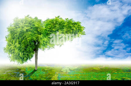 Realistische Leber Bilder sind menschliche Grüner Baum Formen über Krankheiten und Zirrhose (Umwelt). Stockfoto