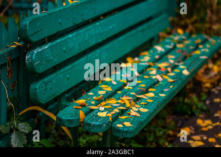 Mintgrün lackierte Holzbank mit herbstlich gefallenen Blättern - geringe Tiefe des feldselektiven Fokus Nahaufnahme Stockfoto