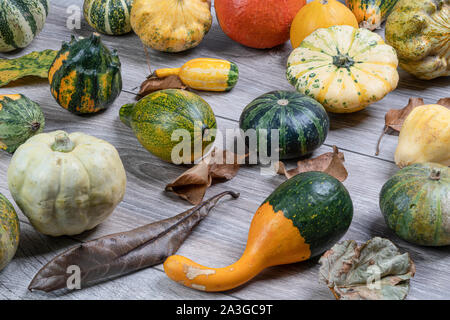 Einige kleine Kürbisse auf einem Holztisch im Herbst mit einigen Blätter Stockfoto