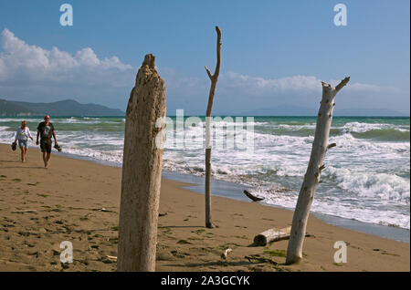 Der Strand von Marina di Alberese, der Uccellina Naturpark Maremma Regional Park, Toskana, Italien. Stockfoto