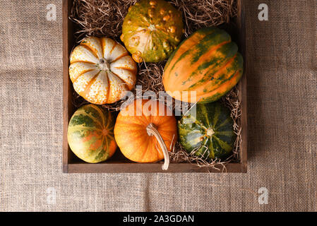 High Angle Shot einer Gruppe von Herbst Kürbisse, Zucchini und Kürbisse in einem hölzernen Kasten auf der Leinwand. Stockfoto