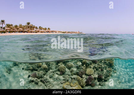 Über/unter Makadi Bay, Ägypten Stockfoto