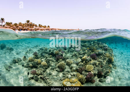 Über/unter Makadi Bay, Ägypten Stockfoto