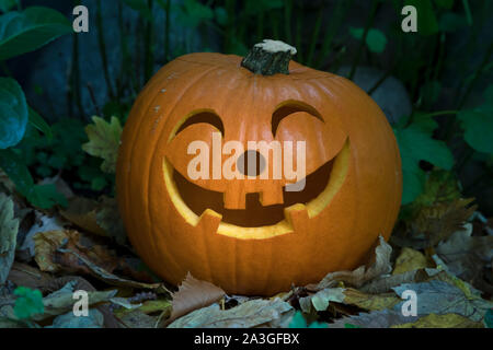 Orange Art lächelnd Halloween Kürbis im Garten in der Dämmerung Stockfoto
