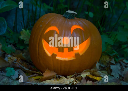 Orange Art lächelnd beleuchtete Halloween Kürbis im Garten bei Dämmerung Stockfoto