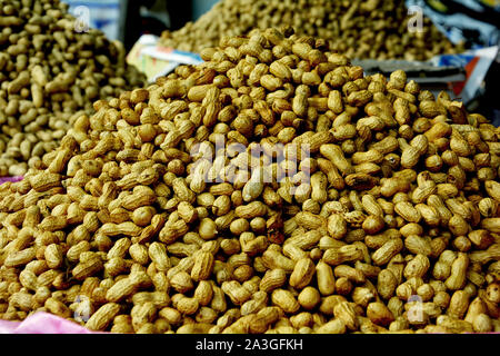 Heap ungeschälte, Getrocknete und geröstete goldenen Erdnüsse, Erdnüsse auch als goober oder Affe Muttern mit Muscheln als Arachis Hypogaea, so bekannt Stockfoto