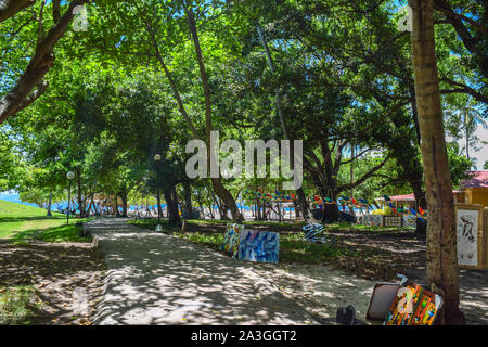 Wunderschöner Park auf der karibischen Insel Stockfoto